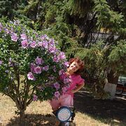 ,   Amina, 68 ,   ,   , c 