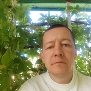 ���������� �����, ���� ������� �������, 46 ���, ������������ ��� ������, ����� � ���������