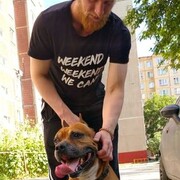 ���������� ���������, ���� ������� �����, 31 ���, ������������ ��� ������, ����� � ���������