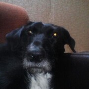 ���������� ������, ���� ������� ���������, 54 ����, ������������ ��� ������, ���������