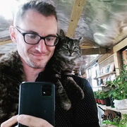 ���������� ������, ���� ������� ������, 39 ���, ������������ ��� ����� � ���������, c�������� ���������