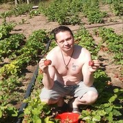 ���������� ������, ���� ������� ������, 55 ���, ������������ ��� ������, ����� � ���������, c�������� ���������