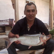  ,   Ravshan, 56 ,  