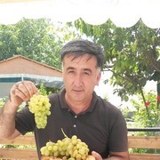  ,   , 54 ,   ,   , c 