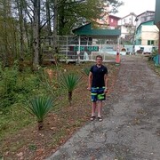 ���������� ������, ���� ������� ���������, 29 ���, ������������ ��� ������, ����� � ���������, c�������� ���������, ���������