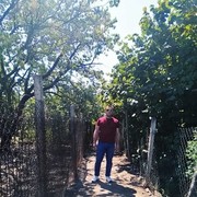  ,   Elvin, 40 ,   ,   , c , 