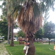  ,   , 38 ,   ,   