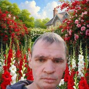   ,   , 40 ,     , c , 