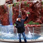 ������������ �� ��������