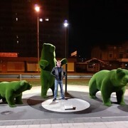 ���������� ���������, ���� ������� ������, 29 ���, ������������ ��� ������, ����� � ���������