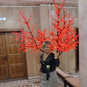 ���������� ����, ���� ������� �������, 55 ���, ������������ 