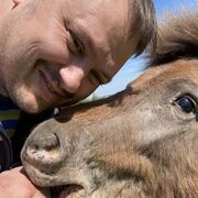 ���������� �������, ������� ������, 37