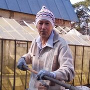 ���������� ������, ���� ������� ������, 73 ����, ������������ ��� c�������� ���������