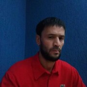  ,  Salamon, 43