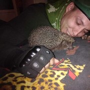 ���������� ������-��-����, ���� ������� ������, 37 ���, ������������ ��� ������, ����� � ���������, c�������� ���������, ���������