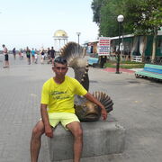  ,   , 49 ,   ,   