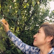 ���������� �����������, ���� ������� �����, 54 ����, ������������ 