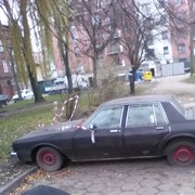  ,   Dmytro, 41 ,     , c 