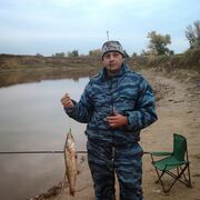 ���������� ������������, ���� ������� ���������, 46 ���, ������������ ��� ������, ����� � ���������, c�������� ���������