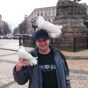 ���������� ��������������, ���� ������� ����, 40 ���, ������������ ��� ������, ����� � ���������, c�������� ���������