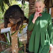 ���������� ������, ���� ������� ����, 40 ���, ������������ ��� ������, ����� � ���������, c�������� ���������, ���������