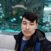 ���������� ������, ���� ������� ����������, 33 ����, ������������ ��� ������, ���������