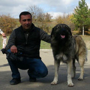  ,   DAVIT, 45 ,   