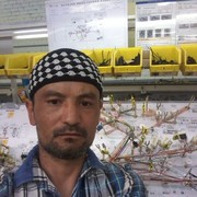  -,   , 43 ,   ,   , c 