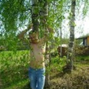  ,  Denis, 37