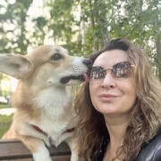 ���������� ������, ���� ������� �������, 47 ���, ������������ ��� ������, ����� � ���������, c�������� ���������, ���������