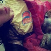 ���������� ������ ���, ���� ������� �����, 33 ����, ������������ ��� ������, ����� � ���������, c�������� ���������