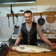  ,   , 48 ,     