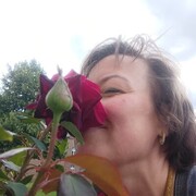 ���������� Merzig, ���� ������� �����, 48 ���, ������������ ��� ����� � ���������, c�������� ���������