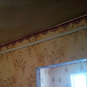  -,   , 51 ,   ,   , c 