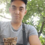 ���������� ��������, ������ �����, 25