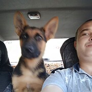  -,   , 43 ,     , c 