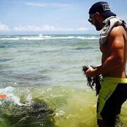  ,   Patron, 41 ,   ,   