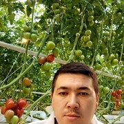  ,  , 28