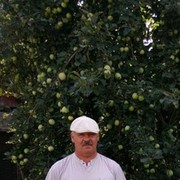  ,   , 59 ,   ,   , c 