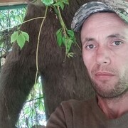 ���������� ����, ���� ������� ����, 37 ���, ������������ ��� ������, ����� � ���������