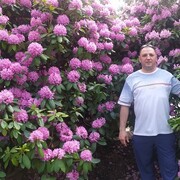  --,   , 43 ,   ,   , 