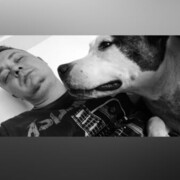 ���������� �����-���������, ���� ������� ������, 38 ���, ������������ ��� ������, ����� � ���������