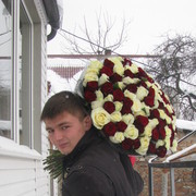 ���������� ����� �������, ���� ������� ����, 34 ����, ������������ 