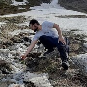 ���������� ������, ���� ������� �����, 35 ���, ������������ ��� ���������