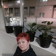  -,   , 52 ,   