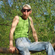  -,   , 55 ,   