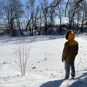 ���������� ������, ���� ����� ���������, 25 ���, ������������ ��� ������, ����� � ���������