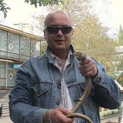  ,   , 57 ,  
