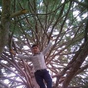 ���������� �������, ���� ������� Alik, 41 ���, ������������ ��� ������, ���������