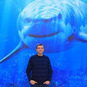 ���������� ������, ���� ������� ��������, 52 ����, ������������ ��� c�������� ���������